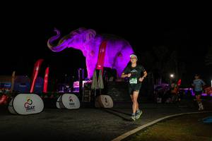 BIB: 
                            <button type="button" onclick="openModal(26533978)" class="btn btn-primary btn-sm float-right btn-popup" data-toggle="modal" data-target=".modal-high-quality">
                        <i class="fas fa-shopping-cart"></i> Add to Cart
                    </button>
                                            <button type="button" onclick="isThisMe(26533978, true)" class="btn btn-success btn-sm float-right btn-popup btn-isme hidden" data-toggle="tooltip" data-placement="bottom" title="นี่คือรูปของคุณใช่ไหม คลิกที่นี่เพื่อเอาเข้าอัลบั้ม">
                        <i class="fas fa-plus"></i> Add to album
                    </button>
                    <button type="button" onclick="isThisMe(26533978, false)" class="btn btn-warning btn-sm float-right btn-popup btn-isnotme hidden">
                        <i class="fas fa-ban"></i> Remove from album
                    </button>